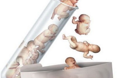http://baoding.dacou.net/post/194.html|保定新闻中心