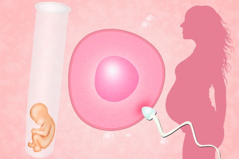 没有办理生育证明能不能保定代生孩子？